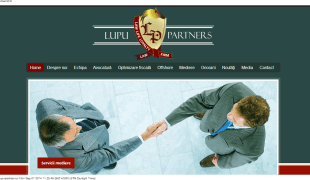 LUPU & PARTNERS